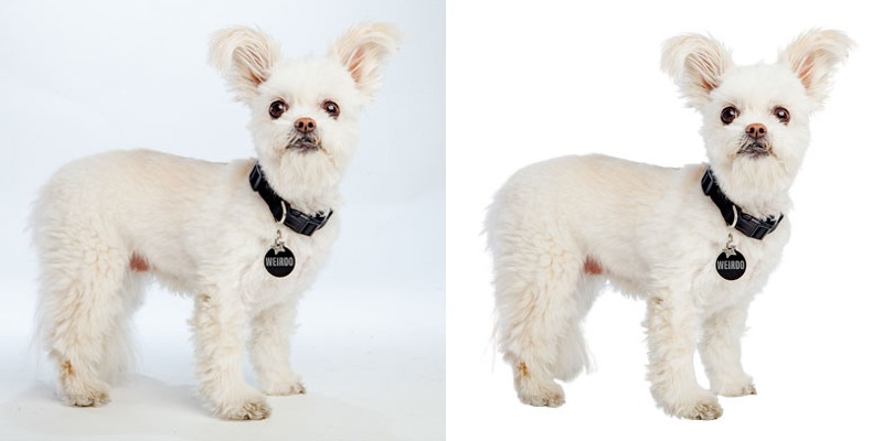 Image Masking Service